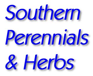 [ Enter Southern Perennials and Herbs! ]